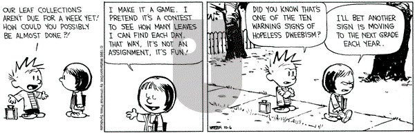 Calvin and Hobbes on Friday October 6, 1995 Comic Strip