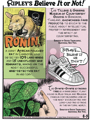 Ripley's Believe It or Not on Tuesday June 3, 2025 Comic Strip