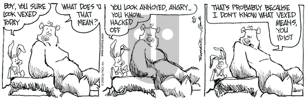 The Grizzwells on Thursday May 25, 2006 Comic Strip