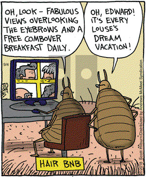 The Argyle Sweater on Tuesday September 4, 2018 Comic Strip