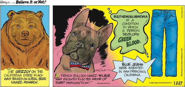 Ripley's Believe It or Not on Sunday December 27, 2020 Comic Strip