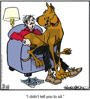 Marmaduke on Tuesday August 30, 2011 Comic Strip