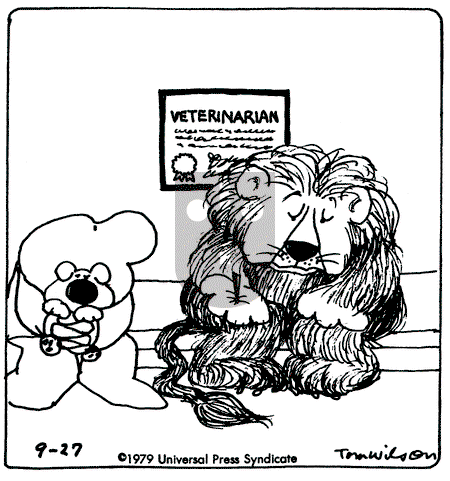 Ziggy - Thursday September 27, 1979 Comic Strip