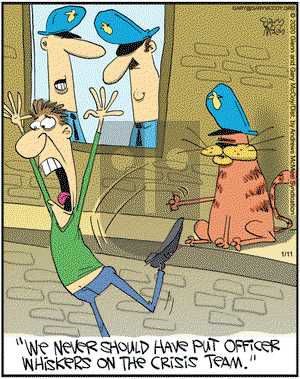 The Flying McCoys on Saturday January 11, 2020 Comic Strip