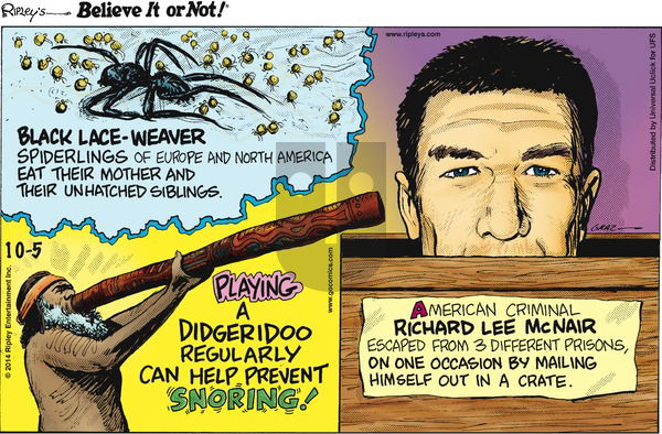 Ripley's Believe It or Not on Sunday October 5, 2014 Comic Strip