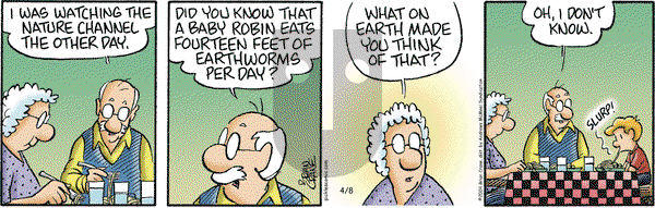 Pickles on Tuesday April 8, 2025 Comic Strip