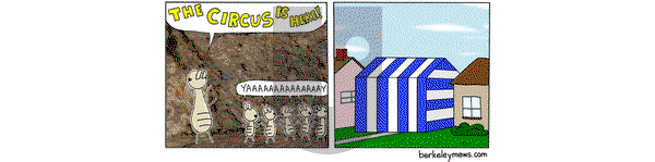 Berkeley Mews on Monday April 3, 2023 Comic Strip