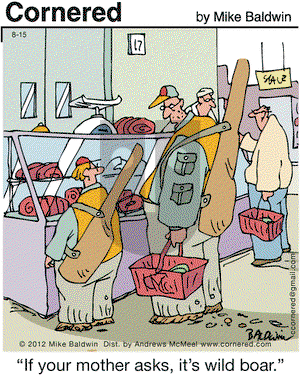 Cornered on Saturday August 15, 2020 Comic Strip