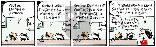 Ten Cats - Wednesday June 4, 2014 Comic Strip