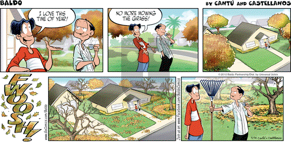 Baldo - Sunday November 14, 2010 Comic Strip