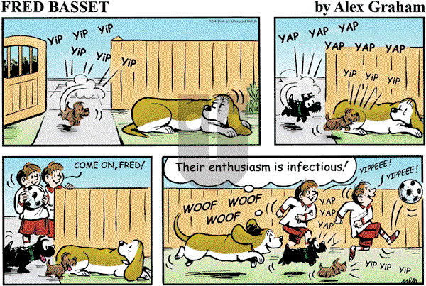 Fred Basset on Sunday December 4, 2011 Comic Strip