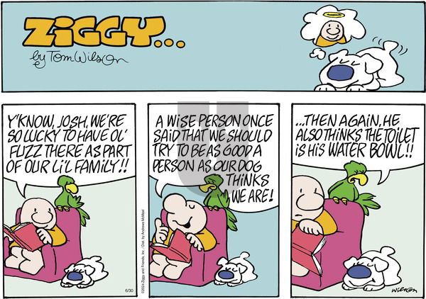 Ziggy - Sunday June 30, 2024 Comic Strip