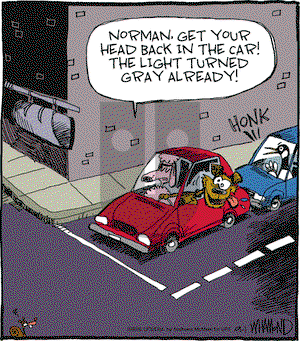 Reality Check on Saturday September 1, 2018 Comic Strip