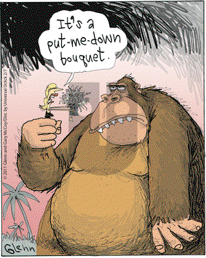 The Flying McCoys on Monday February 7, 2011 Comic Strip