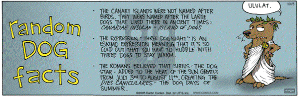 Get Fuzzy on Wednesday October 5, 2005 Comic Strip