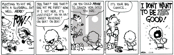 Calvin and Hobbes on Friday December 21, 1990 Comic Strip