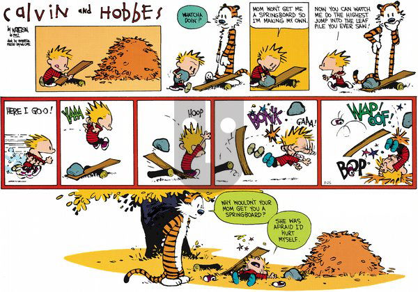 Calvin and Hobbes - Sunday October 14, 2012 Comic Strip