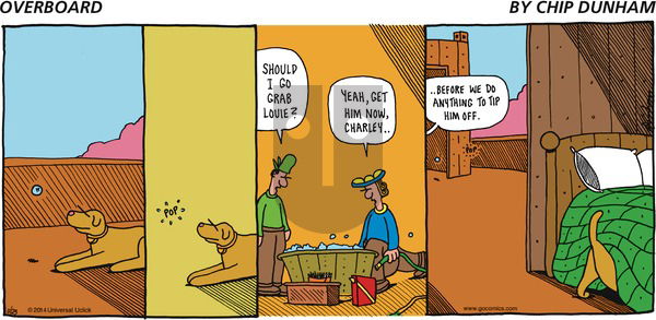Overboard on Sunday November 23, 2014 Comic Strip