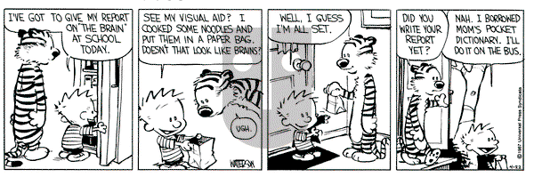 Calvin and Hobbes on Wednesday April 22, 1987 Comic Strip