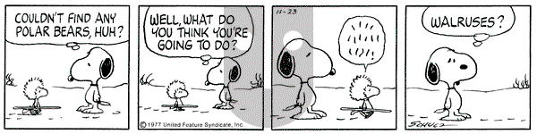 Peanuts on Wednesday November 23, 1977 Comic Strip