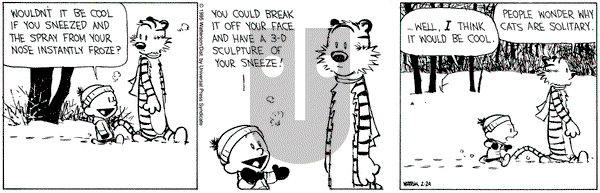 Calvin and Hobbes on Friday February 24, 1995 Comic Strip