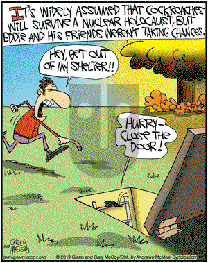 The Flying McCoys on Friday August 2, 2019 Comic Strip