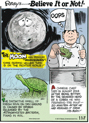 Ripley's Believe It or Not on Friday November 7, 2014 Comic Strip