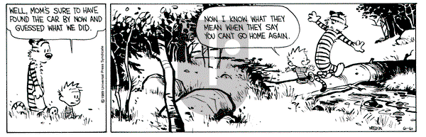 Calvin and Hobbes on Tuesday June 6, 1989 Comic Strip