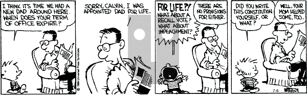 Calvin and Hobbes - Saturday July 6, 1991 Comic Strip