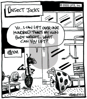 Reality Check on Friday October 21, 2005 Comic Strip