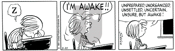 Peanuts on Monday March 25, 1991 Comic Strip