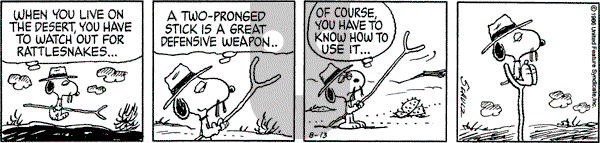 Peanuts - Wednesday August 13, 1986 Comic Strip