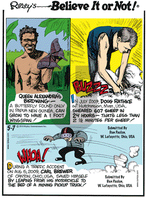 Ripley's Believe It or Not on Friday May 7, 2010 Comic Strip