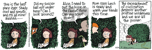 Cul de Sac - Thursday June 24, 2010 Comic Strip