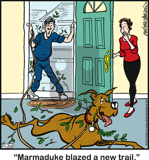 Marmaduke on Wednesday November 20, 2019 Comic Strip