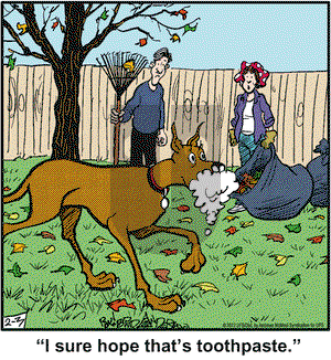 Marmaduke on Thursday February 3, 2022 Comic Strip