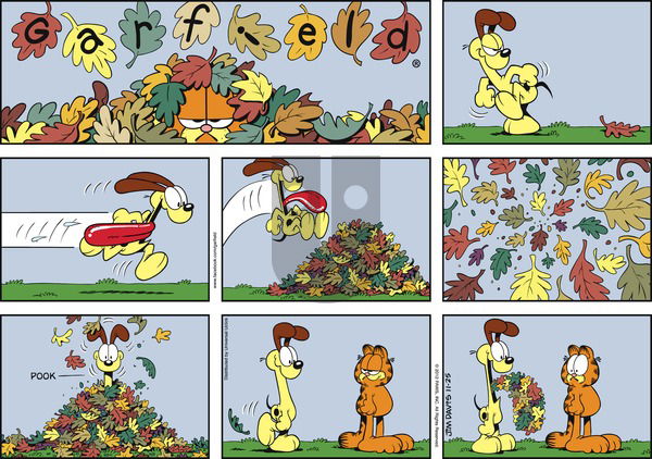 Garfield - Sunday November 25, 2012 Comic Strip