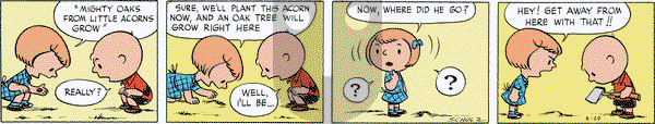 Peanuts Begins - Monday April 8, 2024 Comic Strip