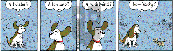 Fred Basset on Thursday June 3, 2010 Comic Strip