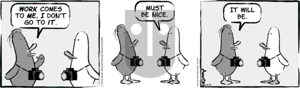 W.T. Duck - Wednesday November 30, 2011 Comic Strip