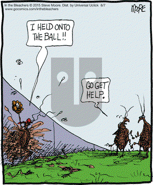 In the Bleachers on Friday August 7, 2015 Comic Strip