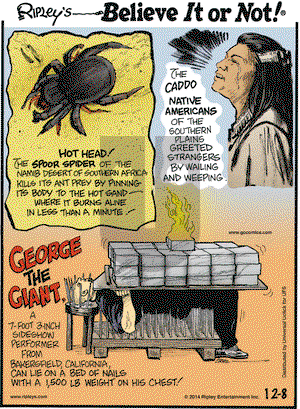Ripley's Believe It or Not on Monday December 8, 2014 Comic Strip