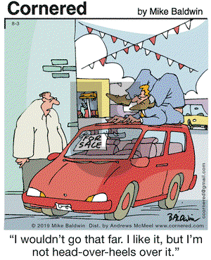 Cornered on Saturday August 3, 2019 Comic Strip