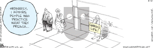 Non Sequitur - Monday June 16, 2008 Comic Strip
