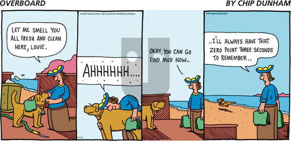Overboard on Sunday November 1, 2020 Comic Strip