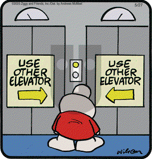 Ziggy on Tuesday May 27, 2025 Comic Strip