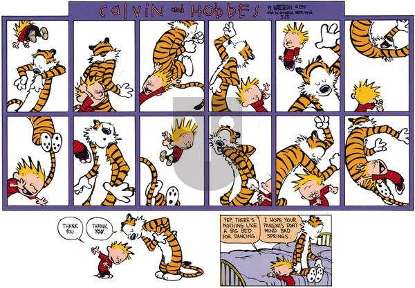 Calvin and Hobbes on Sunday July 11, 1993 Comic Strip
