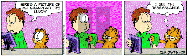 Garfield on Thursday January 20, 2000 Comic Strip