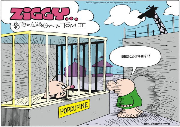 Ziggy on Sunday March 6, 2005 Comic Strip