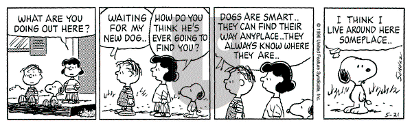 Peanuts on Tuesday May 21, 1996 Comic Strip
